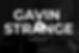 Image of the name Gavin Strange displayed in large white letters over a black background with a faded skeleton.